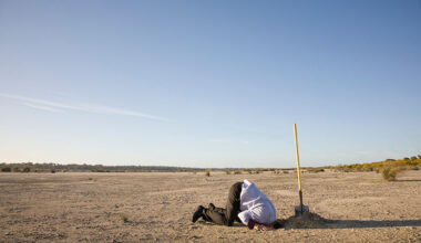 head in the sand