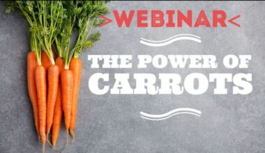 Webinar: How chemical legislation can move the industry with the help of economic incentives