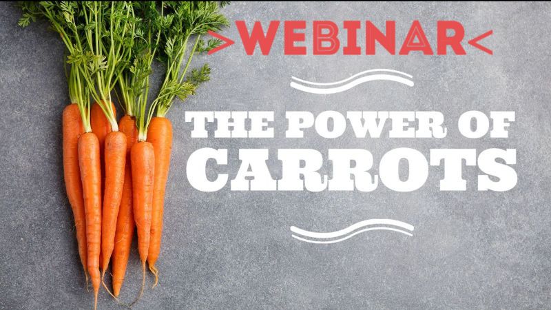 Webinar: How chemical legislation can move the industry with the help of economic incentives